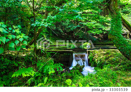 新緑の山吹水源　熊本県　阿蘇郡　産山村 33303539