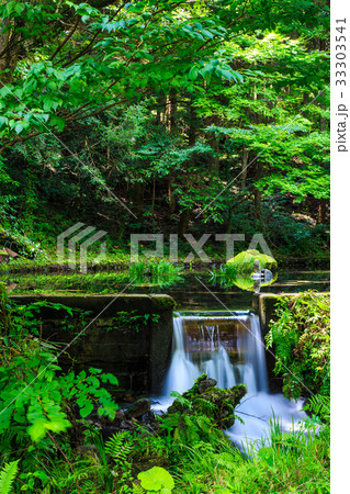 新緑の山吹水源　熊本県　阿蘇郡　産山村 33303541