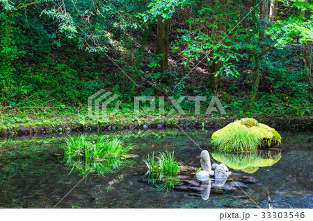 新緑の山吹水源　熊本県　阿蘇郡　産山村 33303546