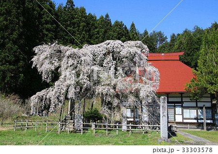 永泉寺のサクラ(田村市) 永泉寺のサクラ(田村市) 33303578
