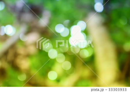 Bokeh natural color background 33303933
