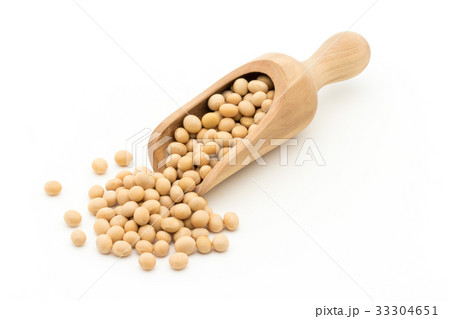 大豆:soybean 33304651