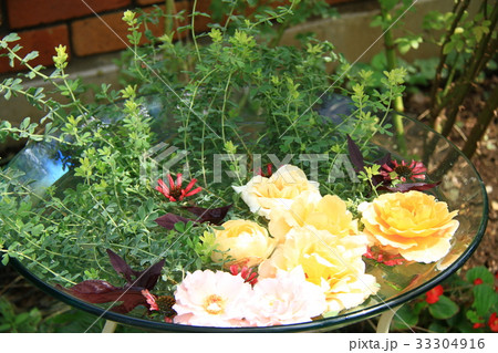 バラの花 バラの花 33304916