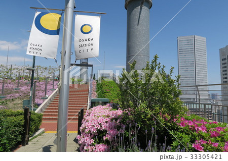 大阪ステーションシティ~天空の農園~ 大阪ステーションシティ~天空の農園~ 33305421