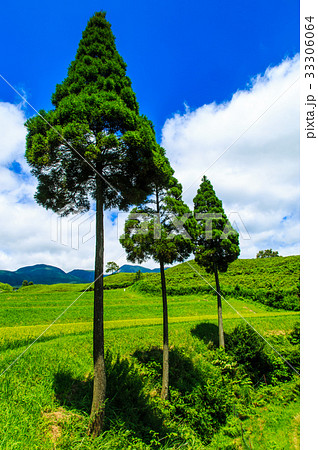 扇棚田 熊本県産山村 扇棚田 熊本県産山村 33306064