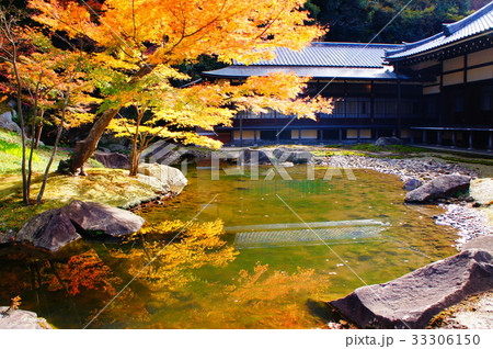 鎌倉の紅葉 33306150