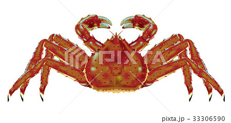 タラバガニ 33306590