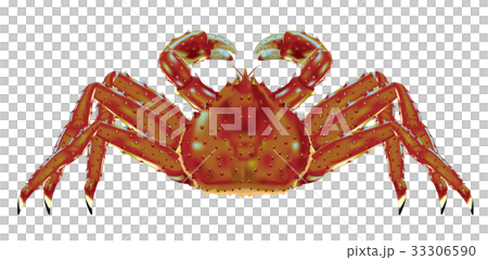 タラバガニ 33306590