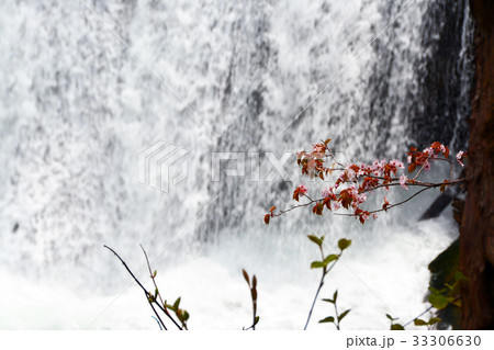 清らかな恵庭渓谷 33306630