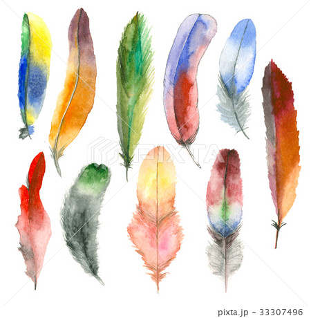 Watercolor feather set 33307496