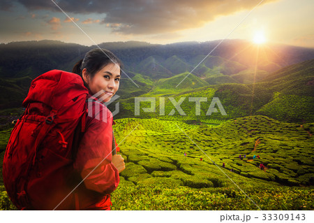Asian lady backpack and travel the green tea plant in Cameron hi Asian lady backpack and travel the green tea plant in Cameron hi 33309143