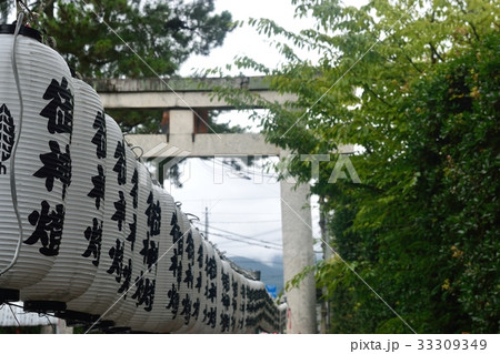 盆提灯 盆提灯 33309349