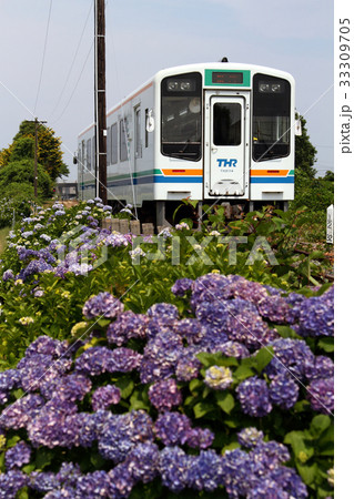 天竜浜名湖鉄道と紫陽花 天竜浜名湖鉄道と紫陽花 33309705