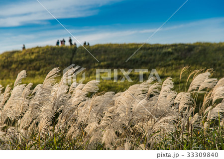 秋の曽爾高原　すすき　夕日を待つ人々 33309840
