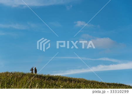 秋の曽爾高原　携帯電話で自撮りをする女性たち 33310299