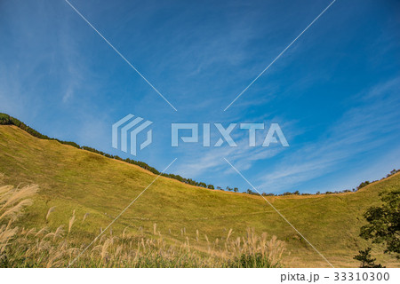 秋の曽爾高原　すすきが広がる山 33310300
