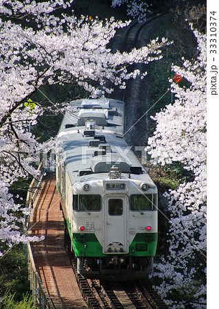 月光寺の桜・只見線（柳津町） 33310374