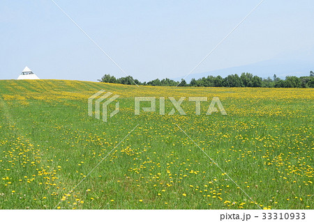 ブタナ草原 33310933