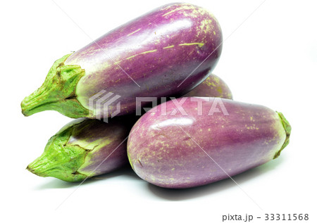 Fresh vegetable eggplant Fresh vegetable eggplant 33311568