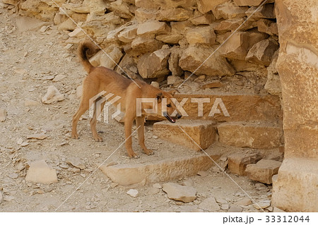 エジプト ジェセル王の階段ピラミッド エジプト ジェセル王の階段ピラミッド 33312044