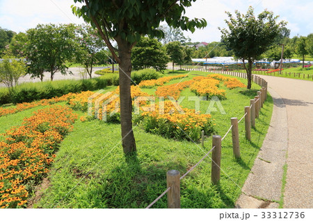 夏の花壇 33312736