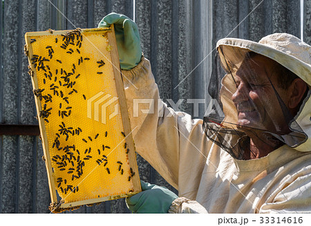 The beekeeper keeps in his hands wax frame with honey The beekeeper keeps in his hands wax frame with honey 33314616
