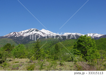 信州の高原　乗鞍高原より乗鞍岳を望む　標高約３０００ｍで２０を超える峰で構成される活火山 33315113