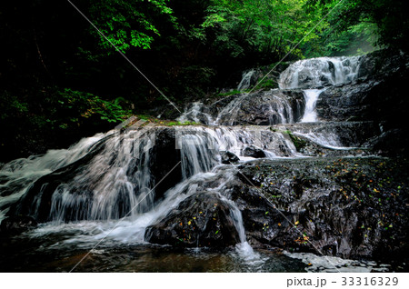 群馬県長野原町 夏の魚止めの滝 群馬県長野原町 夏の魚止めの滝 33316329