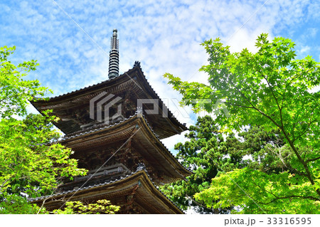 佐渡島 妙宣寺 五重塔 佐渡島 妙宣寺 五重塔 33316595