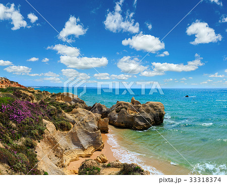 Atlantic blossoming coast (Algarve, Portugal). 33318374