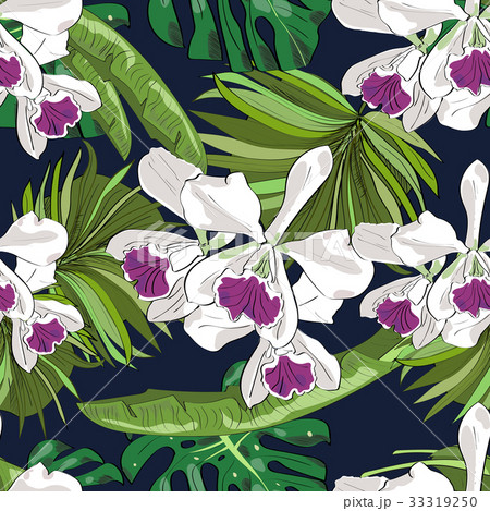 Seamless vector pattern of exotic hand drawn 33319250