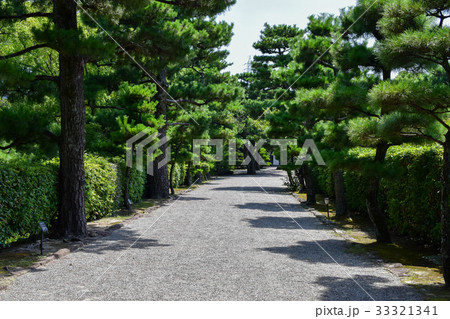 温山荘園　松林 33321341