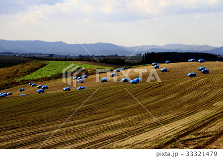 収穫の秋美瑛町 33321479