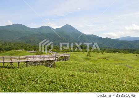 知床一湖へと続く「遊歩道」（知床五湖／北海道斜里郡斜里町） 33321642