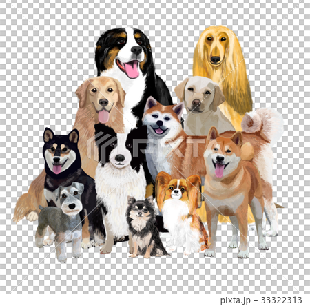 犬いっぱい１のイラスト素材 33322313 Pixta