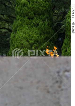 平和の灯 33322406