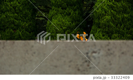 平和の灯 33322409