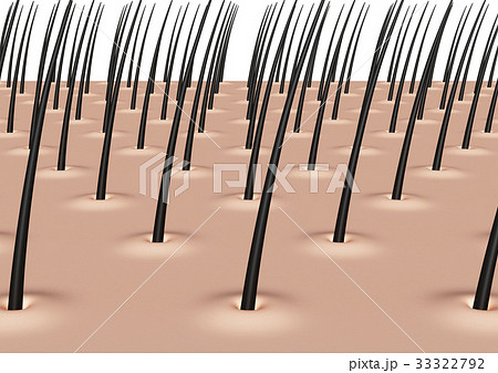 頭皮 髪の毛 ズームのイラスト素材