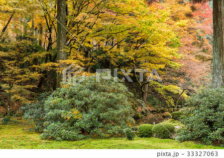 Japanese temple garden 33327063