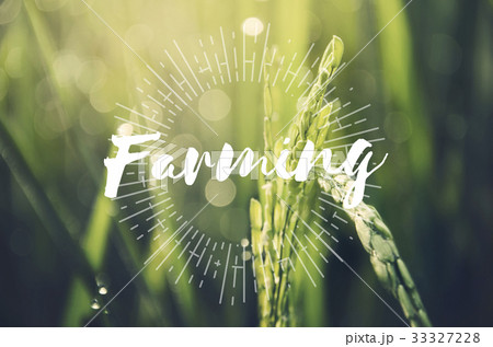 Alternative Farming Sustainable Nature Concept 33327228