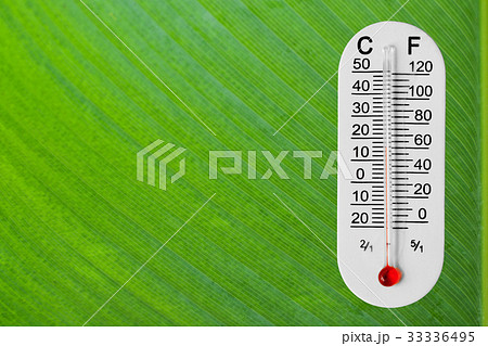 Thermometer on green leaf 33336495