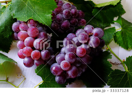 自然 天然 ナチュラル 33337128