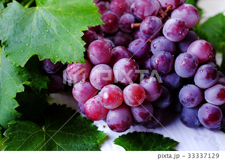 自然 天然 ナチュラル 33337129