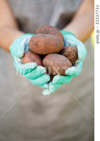 Photo of girl holding potatoes 33337731
