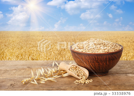 oat grains in bowl oat grains in bowl 33338976
