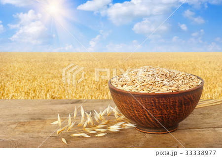 ears of oats and oat grains in bowl 33338977