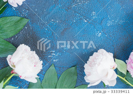 Fresh peonies on blue 33339411