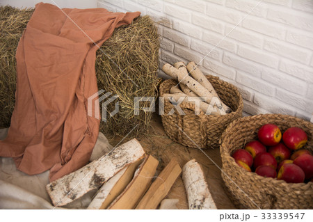 Hay and birch firewood, a basket of apples indoors Hay and birch firewood, a basket of apples indoors 33339547