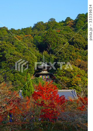 京都 永観堂の紅葉 京都 永観堂の紅葉 33339634