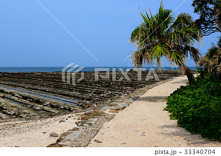 宮崎県宮崎市 青島 鬼の洗濯板 宮崎県宮崎市 青島 鬼の洗濯板 33340704